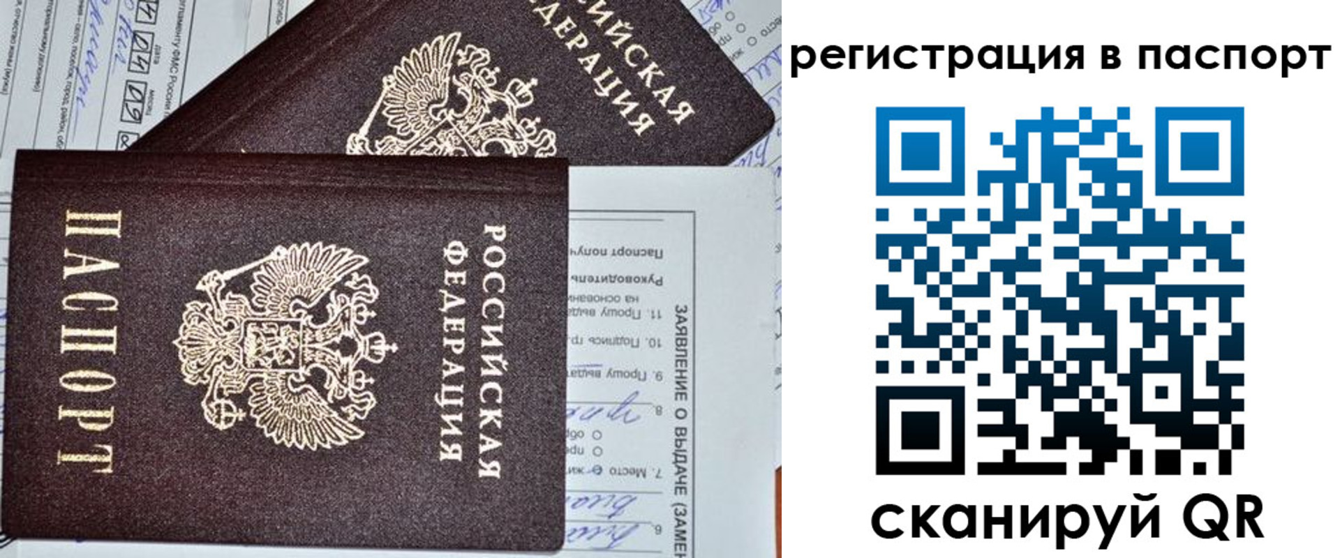 прописка законно в Бабаево